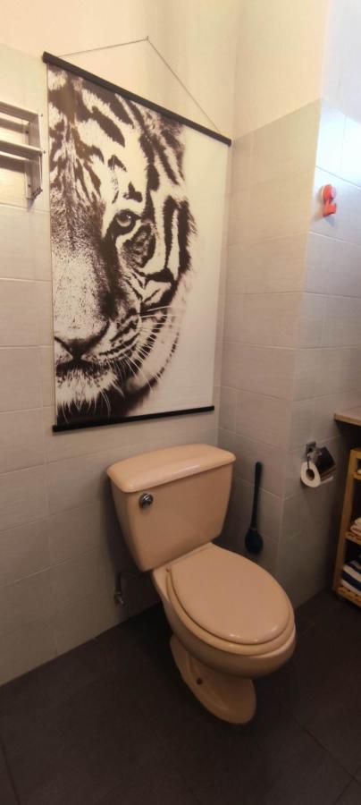 Central Studio นีซ ภายนอก รูปภาพ